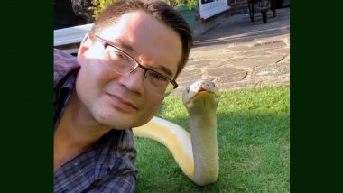 Selfie With Python! Scary or Cute, Watch Viral Video of Man Casually Posing With Snake