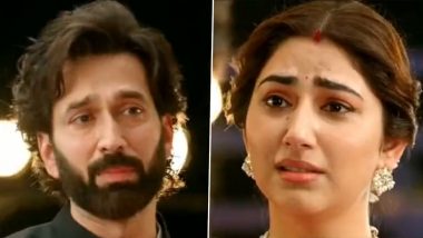 Bade Achhe Lagte Hain 2: Nakuul Mehta and Disha Parmar to Quit the Show Post 20 Years Leap - Reports