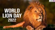 World Lion Day 2022 Images & Lion Quotes, HD Wallpapers for Free Download Online: Wish Happy Lion Day With Wildlife Conservation Messages and Sayings!
