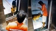 Dog Attack Viral Video: Zomato Delivery Boy Goes to Deliver Food in Panvel, Gets Bitten By Dog