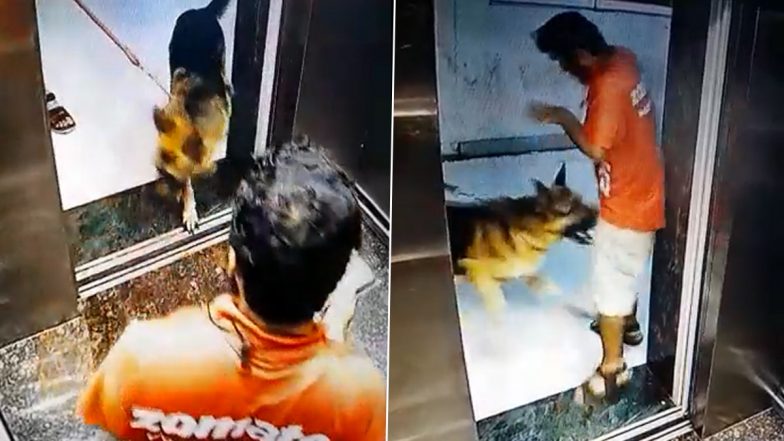 Dog Attack Viral Video: Zomato Delivery Boy Goes to Deliver Food in Panvel, Gets Bitten By Dog