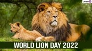 World Lion Day 2022 Messages & HD Images: Netizens Raise Awareness About the &lsquo;King of the Jungle&rsquo; Sharing Quotes, Greetings, Photos and Wallpapers!