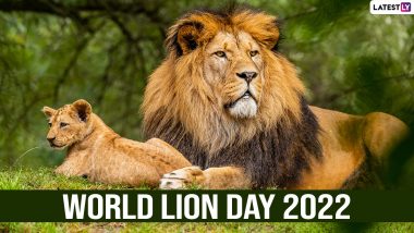 World Lion Day 2022 Messages & HD Images: Netizens Raise Awareness About the ‘King of the Jungle’ Sharing Quotes, Greetings, Photos and Wallpapers!