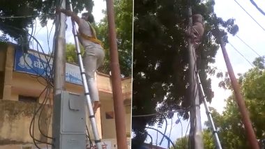 Video: Angry Over Being Challaned, Lineman Cuts Off Police Station's Electricity Supply in UP's Shamli