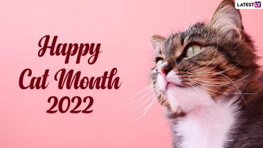 Happy Cat Month 2022 Quotes & Messages: Share These Quirky Cat Quotes To Celebrate and Appreciate Our Furry Companions