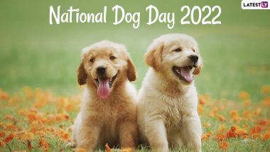 National Dog Day 2022: Cute and Funny Doggo Compilation Videos To Celebrate Man's Best Friends! (Watch Clips)