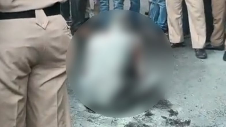 Maharashtra Shocker: Man Sets Himself Ablaze Outside Vidhan Bhavan in Mumbai (Watch Video)