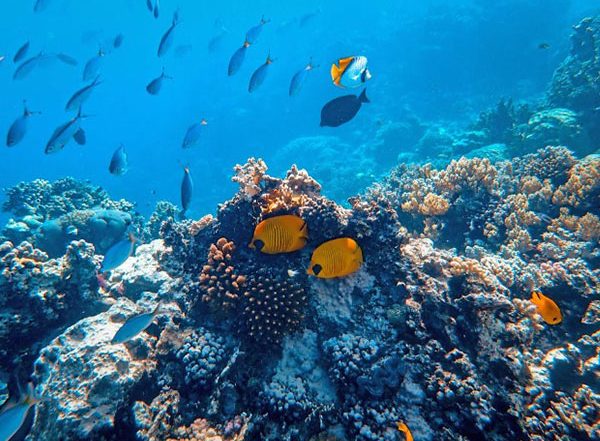 Samudrayaan Mission: India’s First Manned Mission To Send Humans 6,000 Metres Deep in Ocean