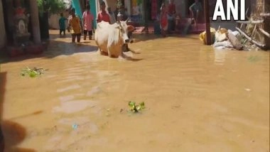 India News | Over 4.67 Lakh People Affected Due to Floods in Odisha