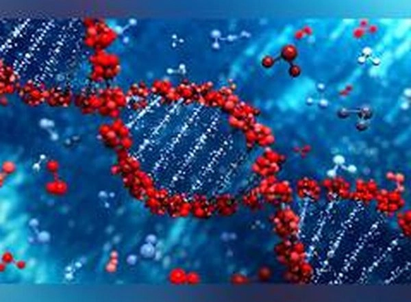 Science News | New Study Model Sheds Light on How Organs Communicate with One Another