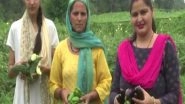 India News | Demand of Organic Vegetables Prompted Rajouri Farmers for Organic Farming