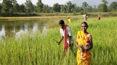 Business News | Robust Intellectual Property System Needed to Boost Agriculture Sector Growth