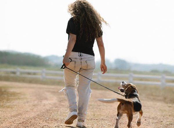 Dogs With More Active Owners Get More Exercise, Says Study