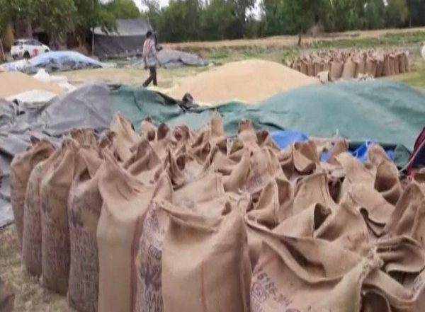 Business News | Cabinet Approves Export Policy for Wheat