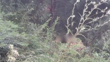 India News | Infiltration Attempt Foiled Along Line of Control in Uri, 3 Terrorists Killed