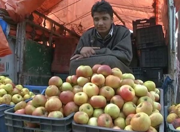 Himachal Pradesh Farmers Sell 7,500 Tonnes of Apples to Adani Agri Fresh Limited