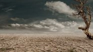 World News | Dutch Province Bans Farmers from Using Surface Water Amid Severe Drought: Reports