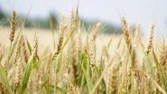 Lifestyle News | Agricultural Diversity Has Positive Impact on Food Security: Study