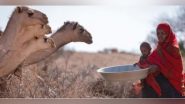 World News | Greater Horn of Africa Drought Forecast to Continue for Fifth Year: WMO