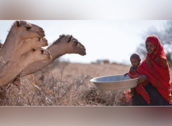 World News | Greater Horn of Africa Drought Forecast to Continue for Fifth Year: WMO