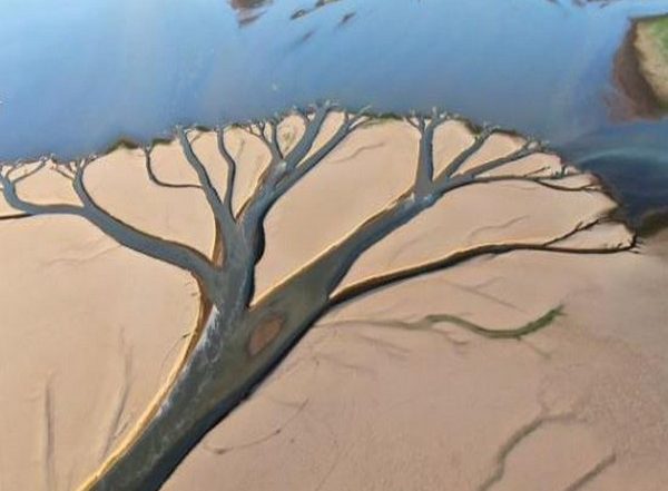 World News | Extreme Weather in China Highlights Climate Change Impacts and Need for Early Warnings: WMO