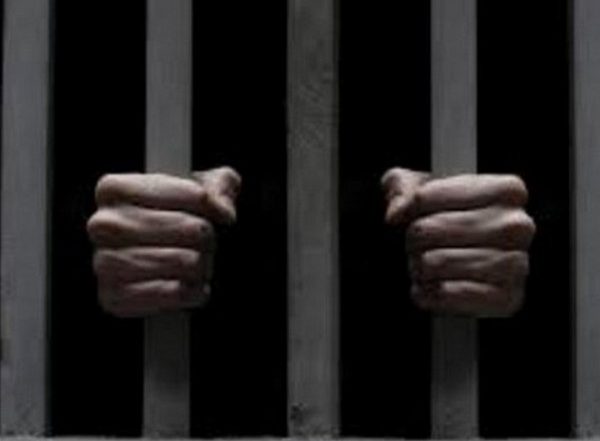 Delhi: Three Held for Slaughtering Bull in Rohini’s Bhagya Vihar
