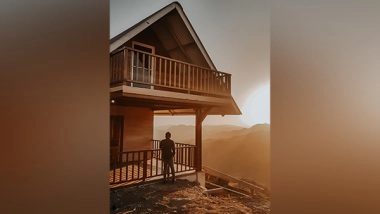 Science News | Living in Timber Cities Could Avoid More Than 100 Billion Tons of CO2 Emissions by 2100