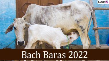 Bach Baras 2022 Images & HD Wallpapers: Send Wishes, Greetings, WhatsApp Messages and Quotes on This Auspicious Cow Festival