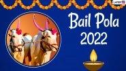 Bail Pola 2022 Date in Maharashtra: When Is Pithori Amavasya? Know Significance, Puja Tithi and Shubh Muhurat of The Auspicious Cow Festival
