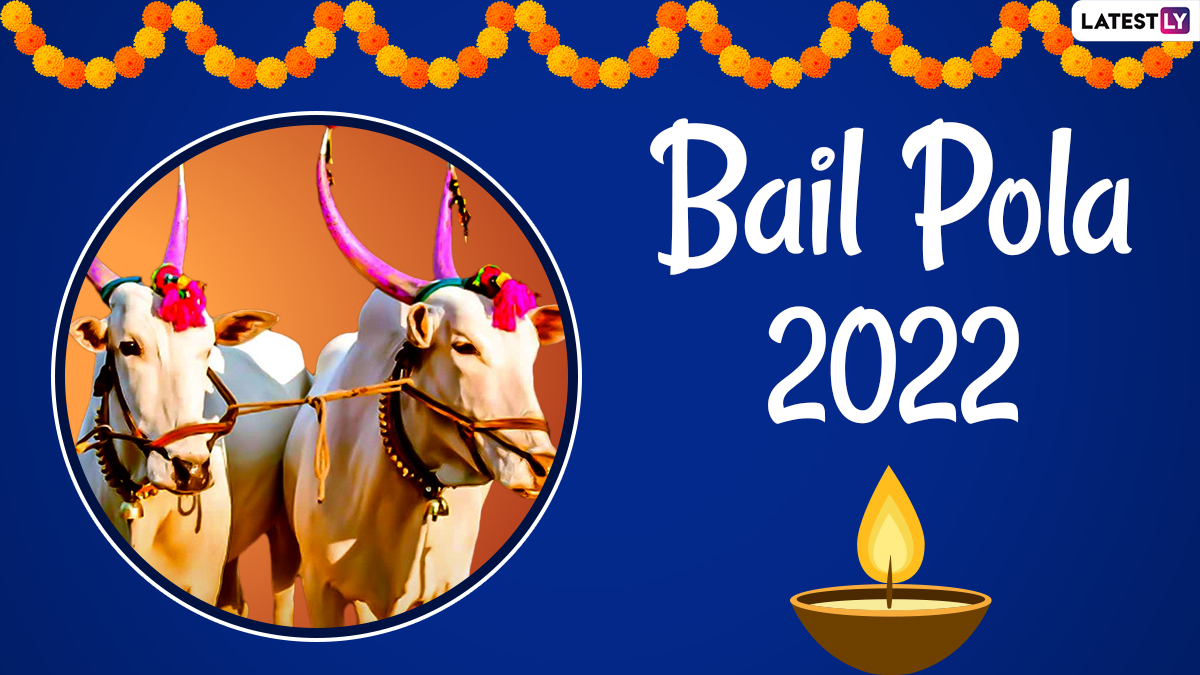 Bail Pola 2022 Date in Maharashtra: When Is Pithori Amavasya? Know ...