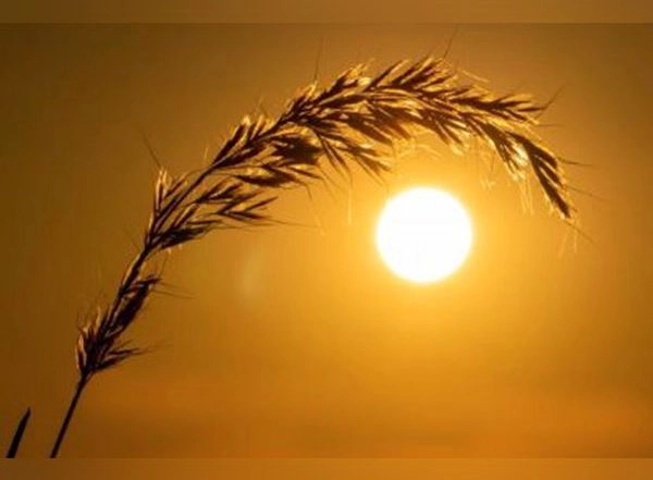 World News | China Facing Fiercest Heat Wave in 6 Decades, Forcing Factories to Close