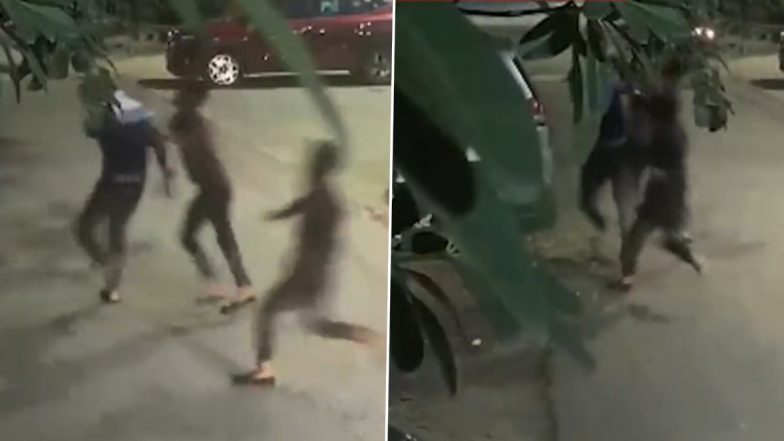 Delhi Shocker: 25-Year-Old Youth Beaten, Stabbed to Death in Crowded Malviya Nagar Market As Onlookers Watch (Viral Video)