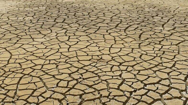 Drought Declared in Most Parts of England After UK's Driest Year Since 1976