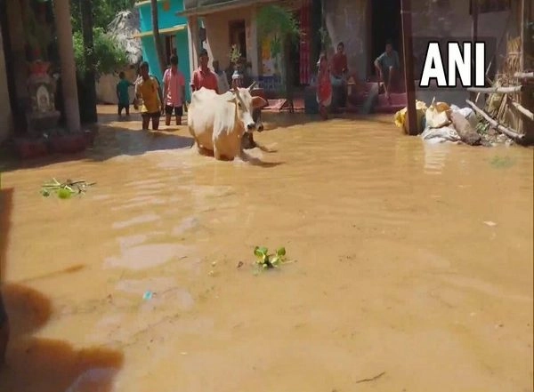 India News | Life Comes to Standstill in Odisha's Bhadrak Due to Flood Situation