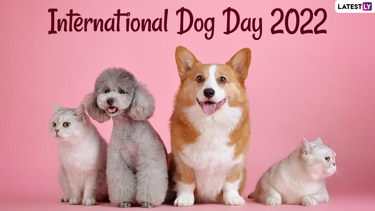 Festivals & Events News Happy International Dog Day 2022! Know Date