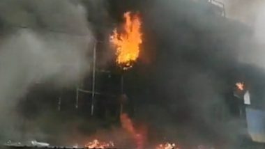 Jabalpur Hospital Fire: At Least 10 People Killed After Massive Fire Breaks Out in New Life Multispeciality Hospital in Madhya Pradesh