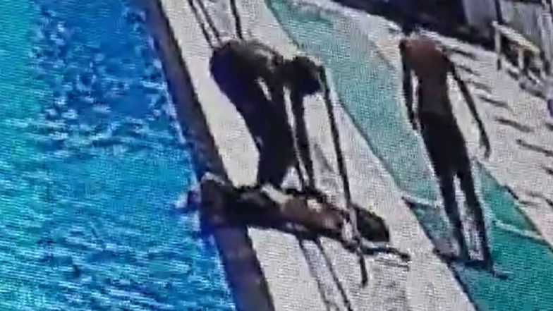 Video: Youth Dies After Suffering Heart Attack in Swimming Pool in Maharashtra's Malegaon