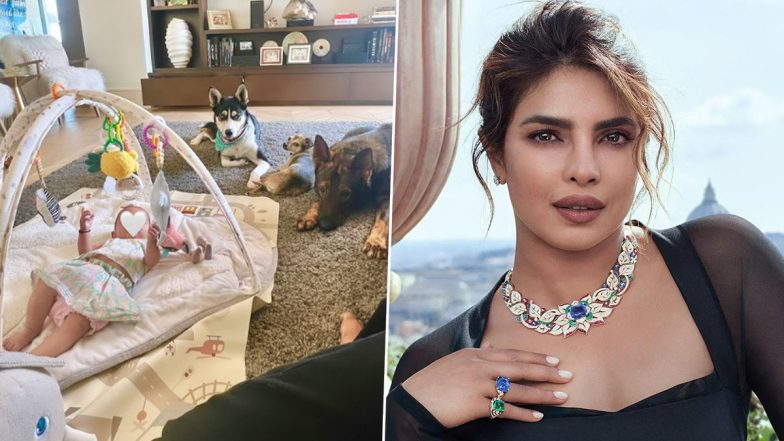 Priyanka Chopra and Nick Jonas’ Daughter Malti Marie Enjoys ‘Perfect’ Sunday With Furry Friends (View Pic)