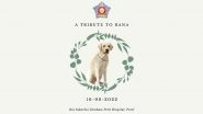 Rana, Mumbai Police Bomb Squad Dog, Passes Away; Cops Bid Goodbye With Heartwarming Post (See Post)
