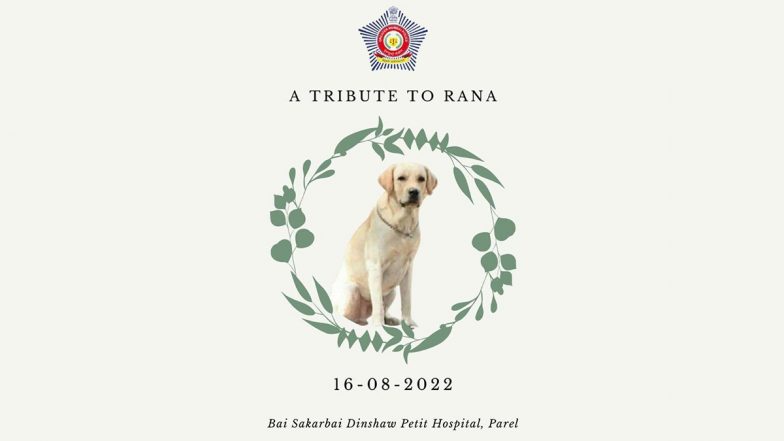 Rana, Mumbai Police Bomb Squad Dog, Passes Away; Cops Bid Goodbye With Heartwarming Post (See Post)