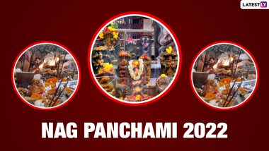 Nag Panchami 2022 Wishes & HD Images: Lord Shiva Wallpapers for Status, Messages, WhatsApp DPs and Quotes To Celebrate the Festival of Serpent Gods