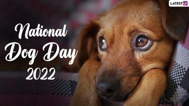 National Dog Day 2022 Quotes and Captions: Heartwarming and Sweet Words To Post With Your Pupper’s Pictures on Social Media Platforms