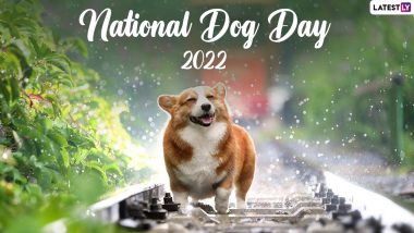 National Dog Day 2022 Images & HD Wallpapers for Free Download: Share Cute GIFs, Photos and Quotes About Adorable Doggos on WhatsApp, Instagram and Facebook on This Day