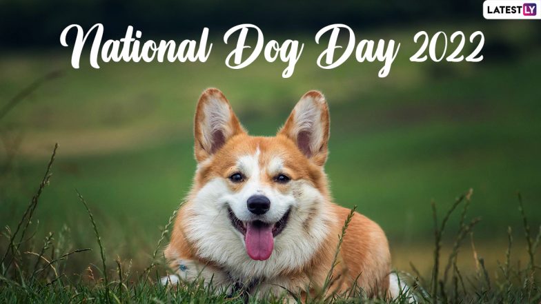 National Dog Day 2022: Four Times When Dogs Saved the Day, Watch Viral Videos of Furry Heroes!