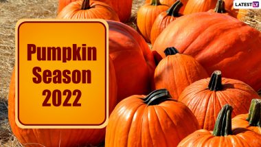 Pumpkin Season 2022 Funny Memes, Jokes, Photos and Greetings To Celebrate to Welcome Fall in Advance, View Tweets