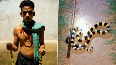 Ramchandra Rana, 31-Year-Old YouTuber in Odisha, Arrested for Keeping 6 Snakes and 4 Chameleons (See Pics)