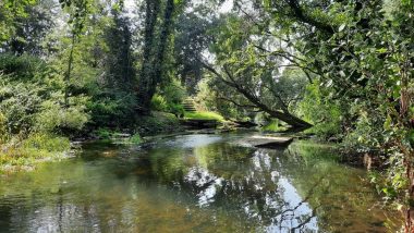 India Equals China with Most Wetlands of International Importance With 10 More Site in Ramsar List