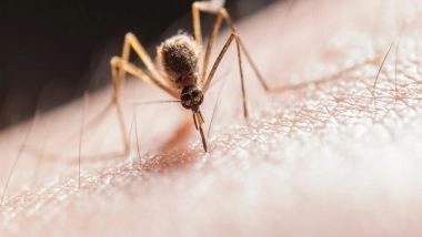 Science News | Scientists Use Mathematical Modelling to Combat Malaria