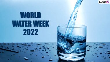 World Water Week 2022 Tips To Drink More Water: From Adding Fresh Fruits to Using Juice, Learn of the Ways To Make It Taste Better