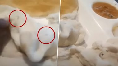 Worm Crawling in Food Leaves Tamil Nadu Woman in Shock, Chennai Restaurant Faces Temporary Ban, Watch Video
